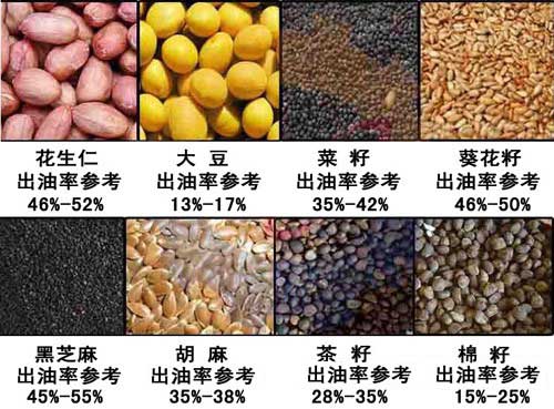 双象榨油机出油率参考